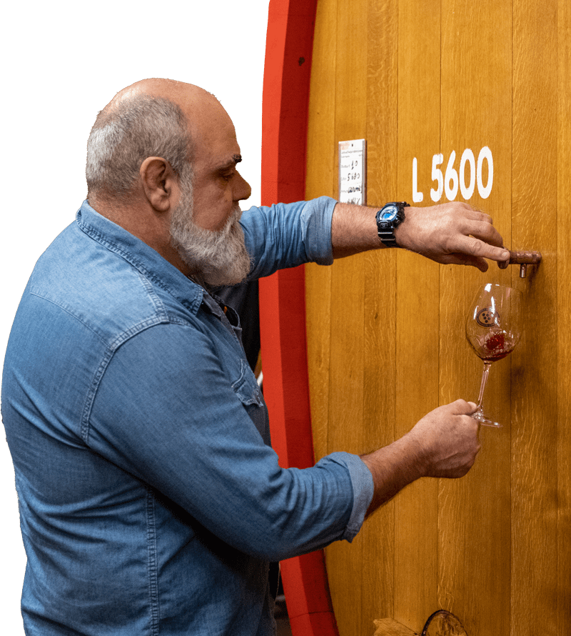 La Cantina di Carema - Le degustazioni