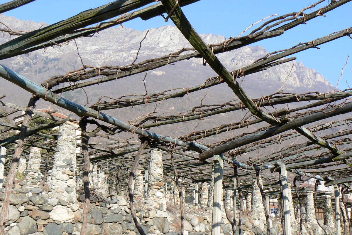 La Cantina di Carema - La storia
