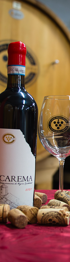 Carema - Tour & Tasting